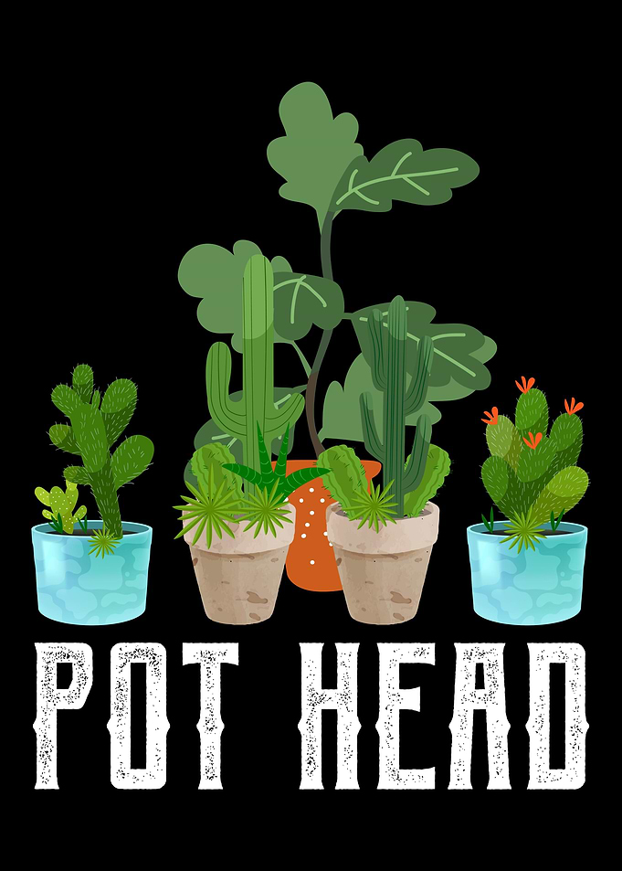 Garden Gardening Plant