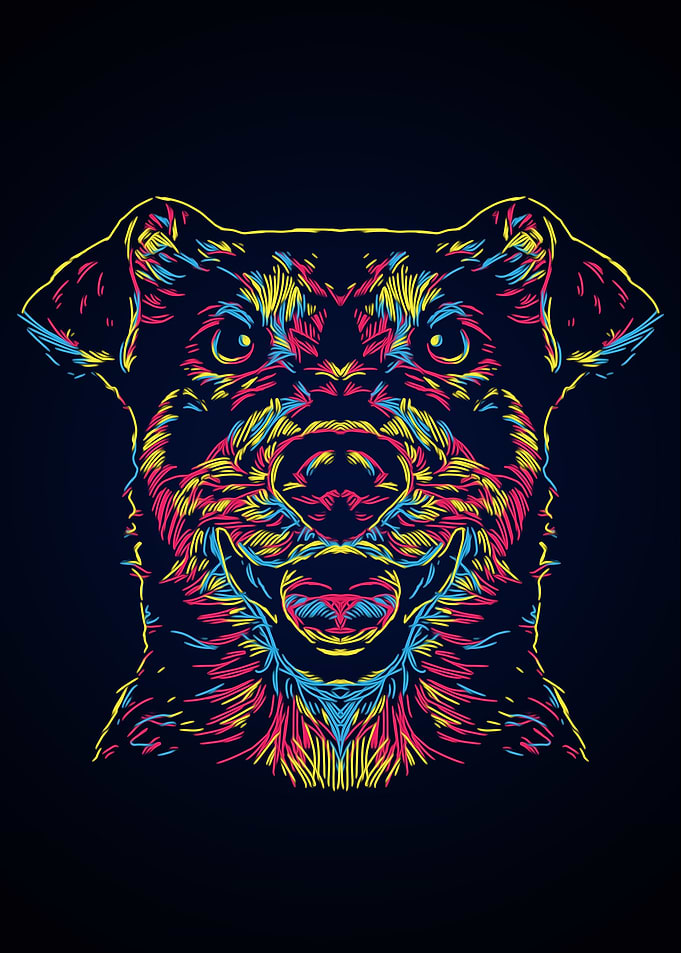 Abstract colorful dog face