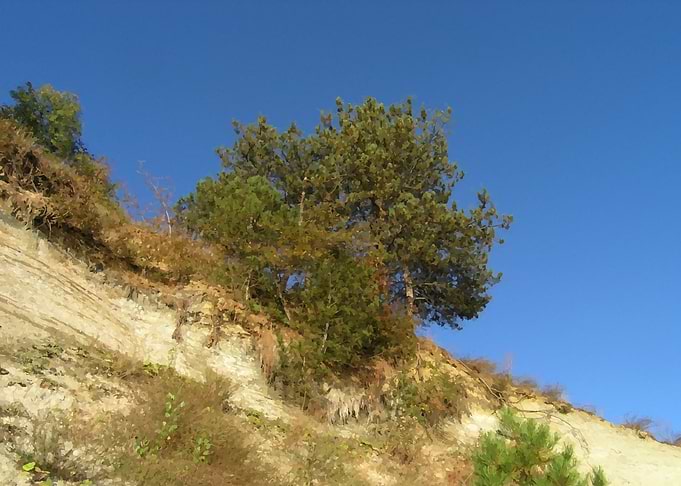 Cliff view