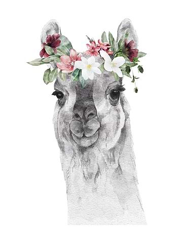 Lamma head with flower in