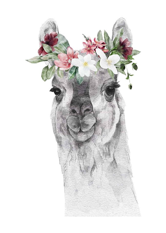 Lamma head with flower in