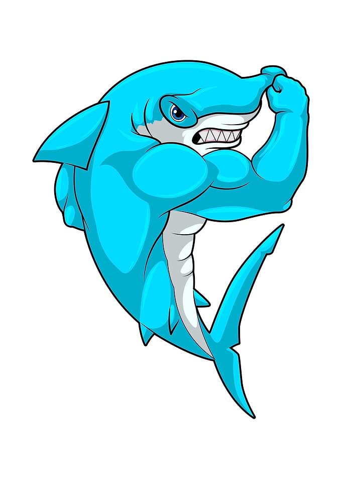 Hammerhead shark