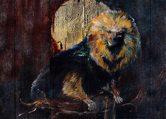 Golden Lion Tamarin