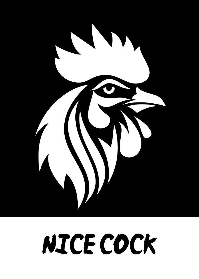 FUNNY BATHROOM NICE COCK 7