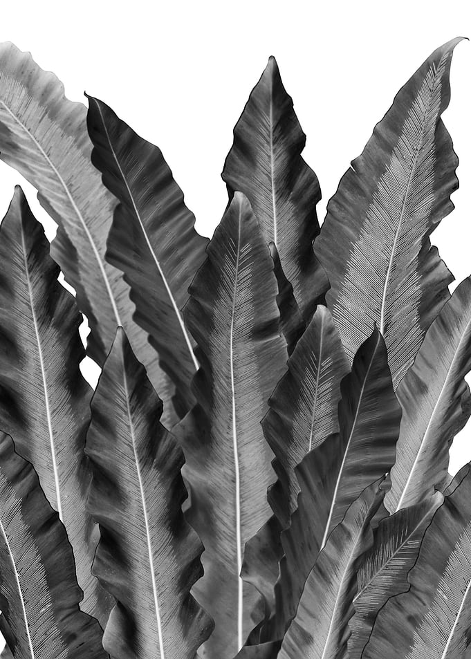 Underwater Leaves Dream 1
