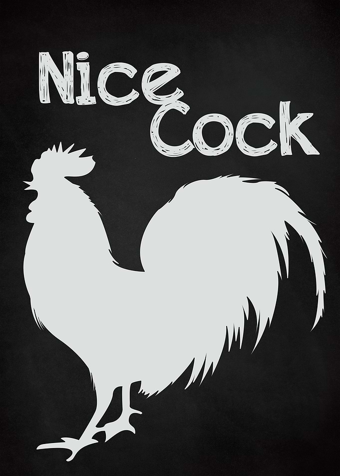 FUNNY BATHROOM NICE COCK 3