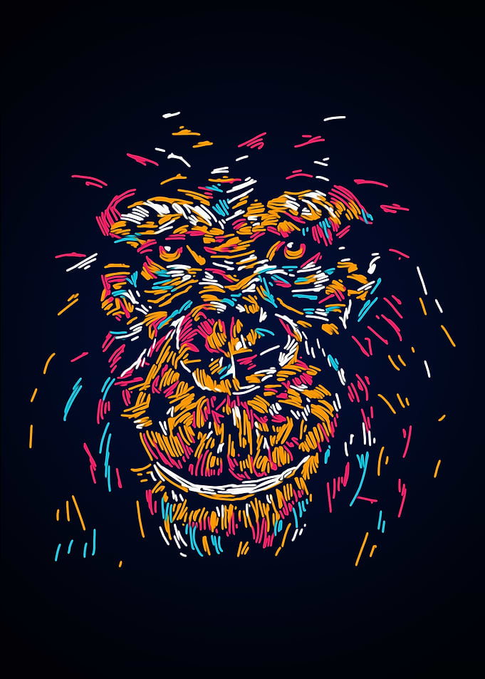 Abstract colourful monkey