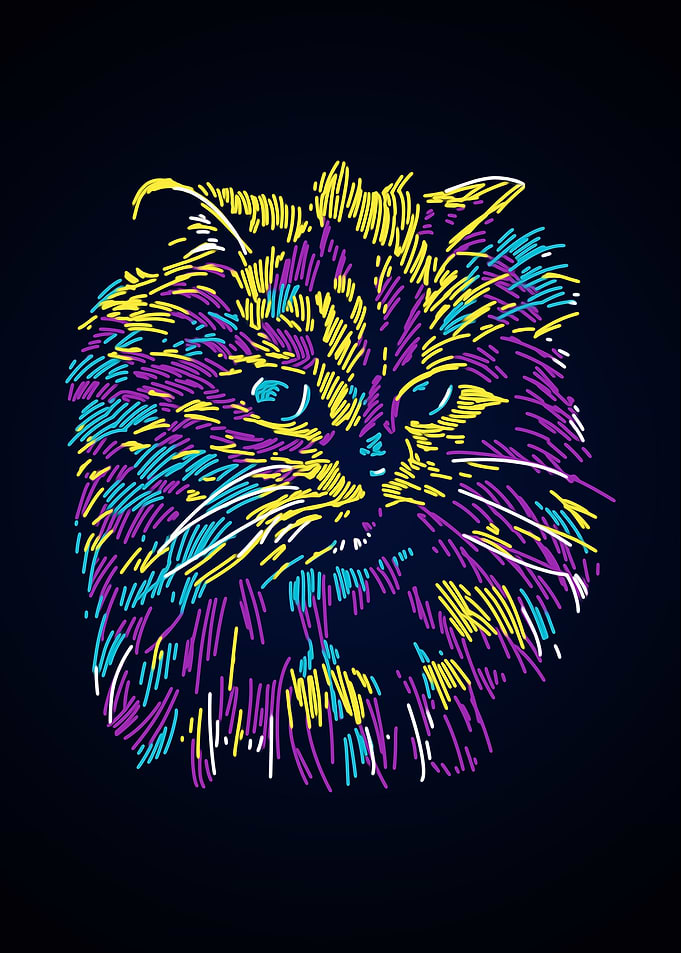 Abstract colourful cat