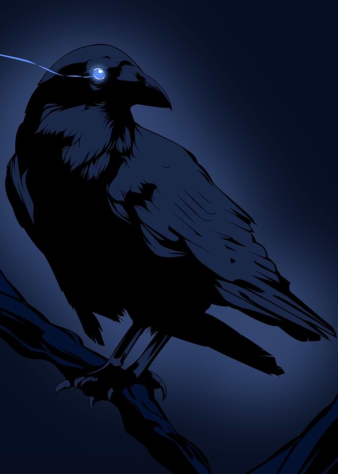 night crow