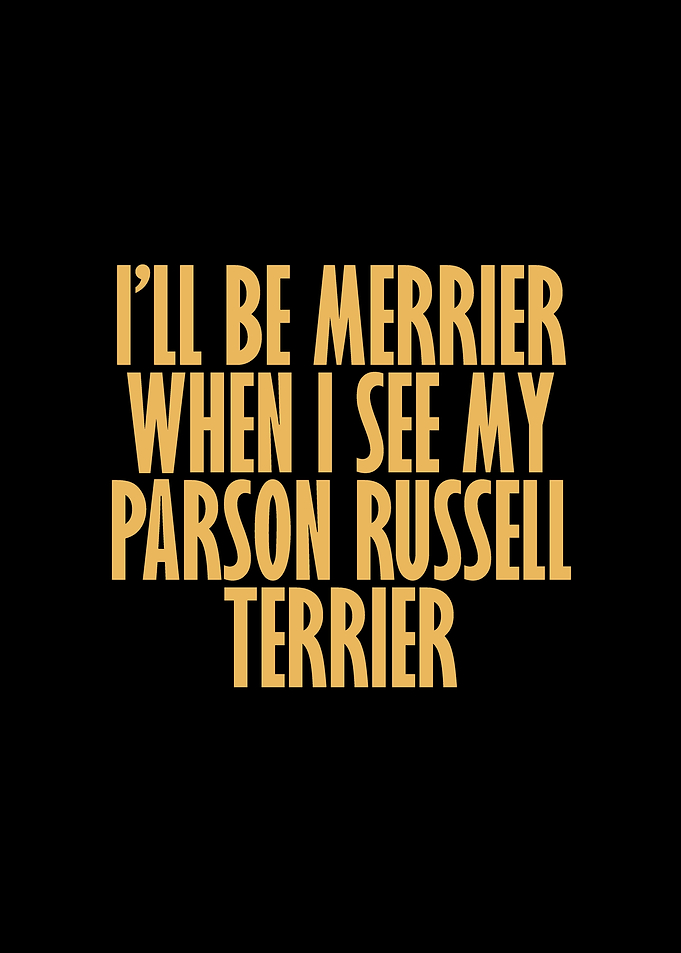 Parson Russell Terrier