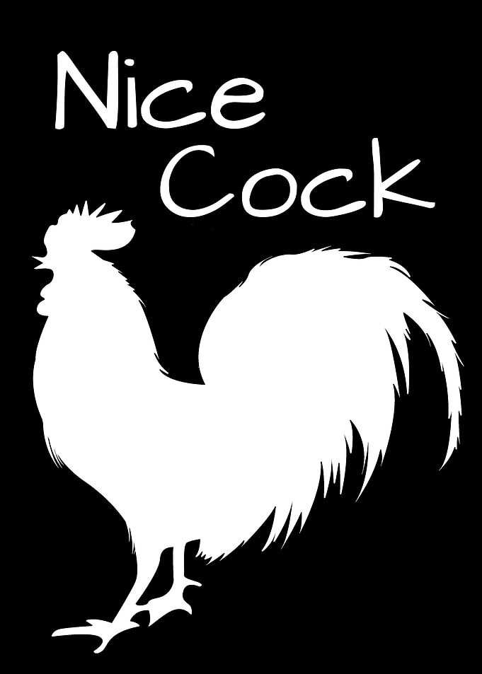 FUNNY BATHROOM NICE COCK 2