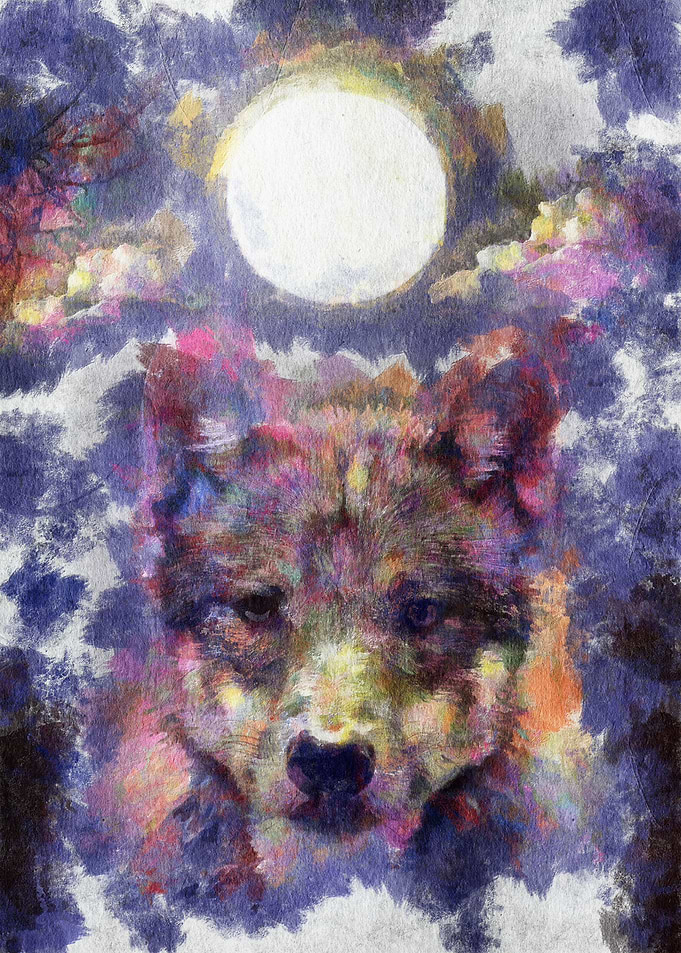 Blue wolf