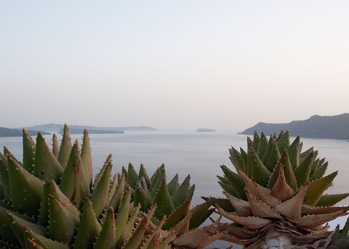 Santorini Zen Dream 2