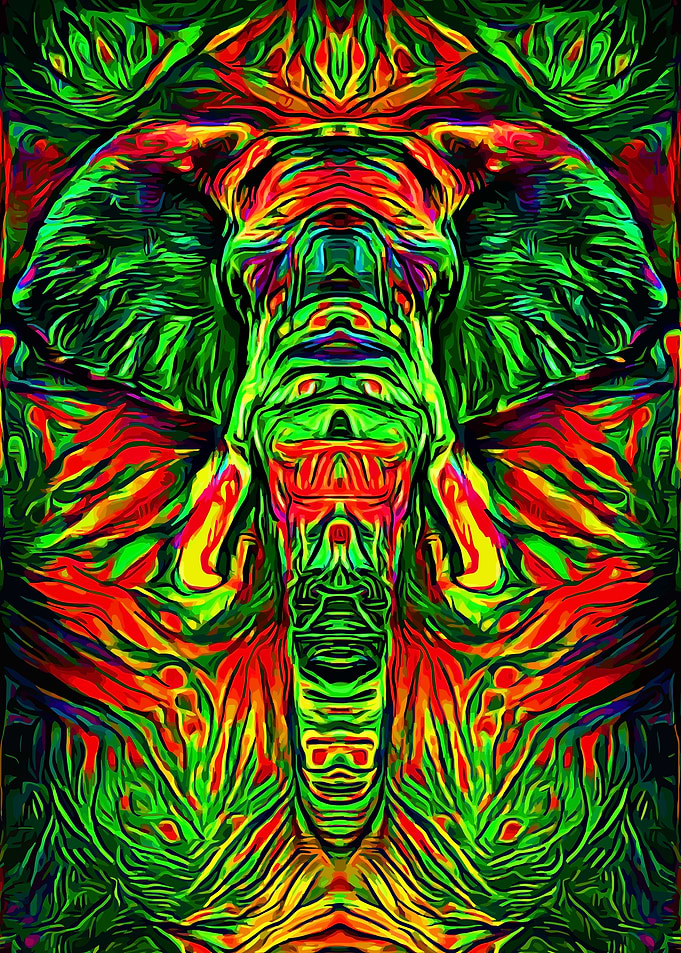 Elephant Psy Jungle