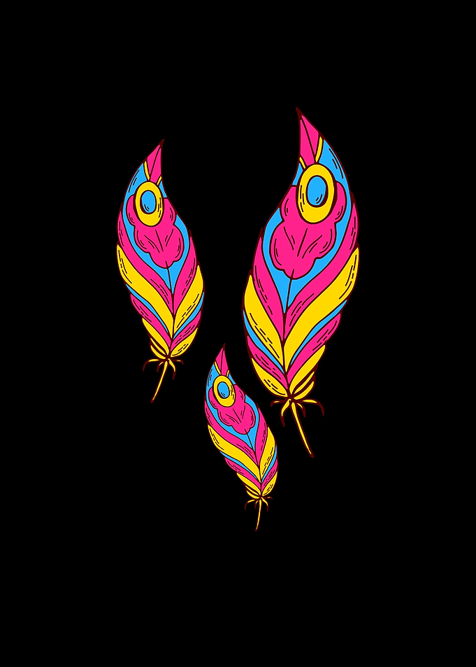 Pansexual Pride Colors Of