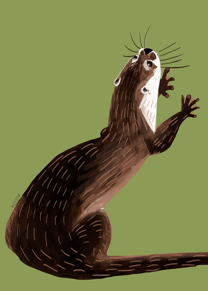 Asiatic otter in green