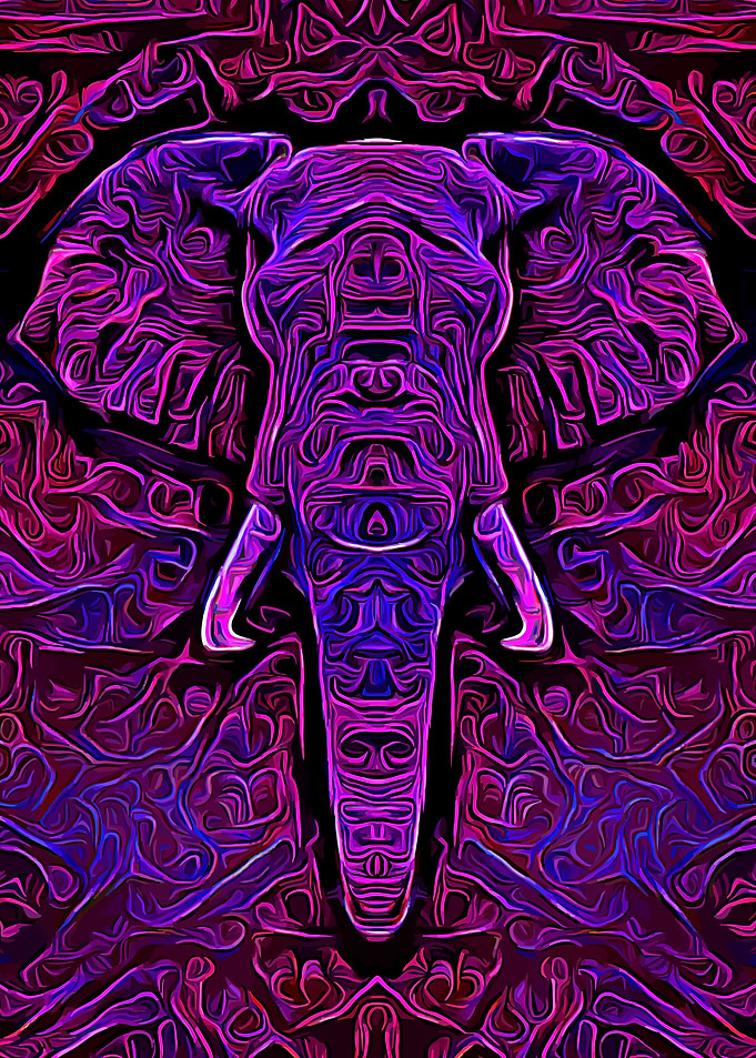 Elephant Fantasy