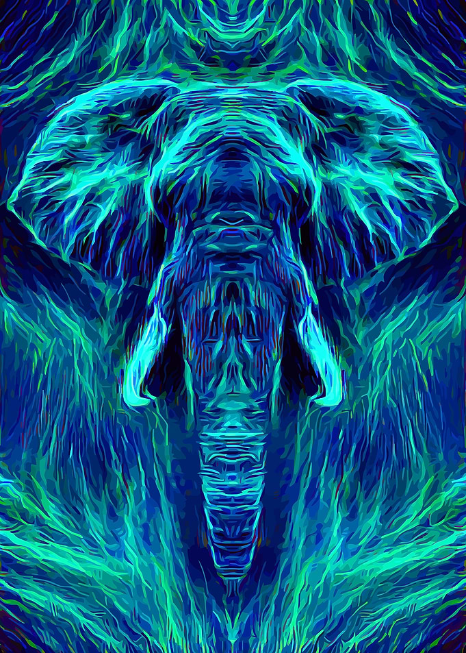 Elephant Mystery