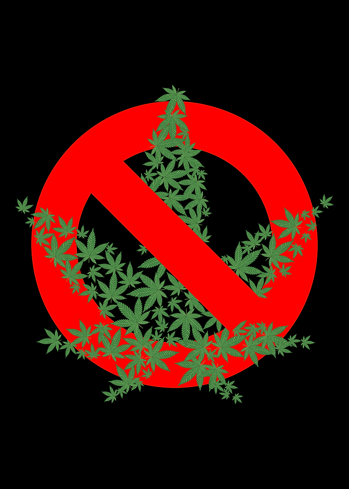 Drug Free Clean No Drugs