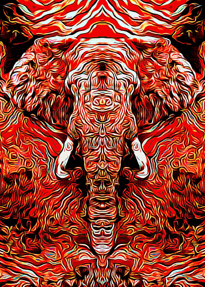 Elephant Flaming Safari