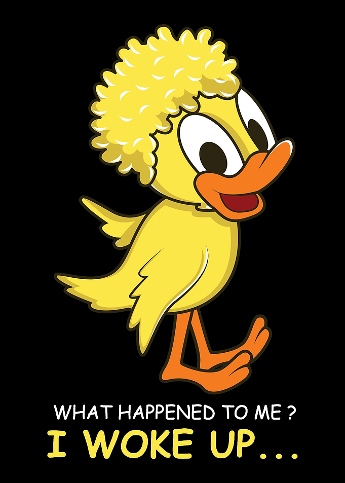 Duck Morning Humorous and