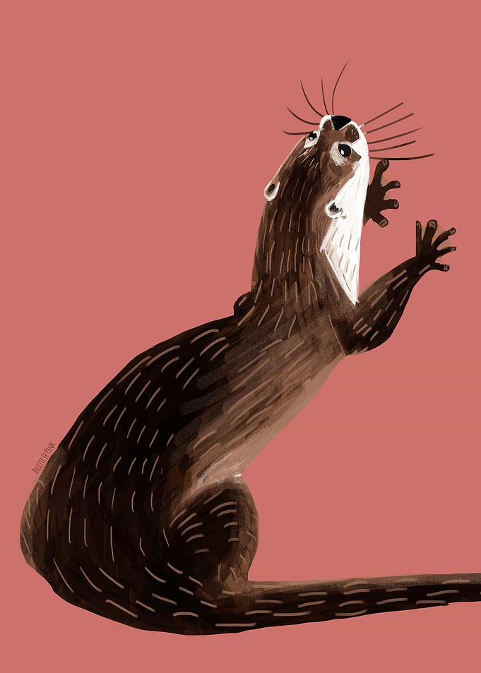 Asiatic Otter Coral Pink