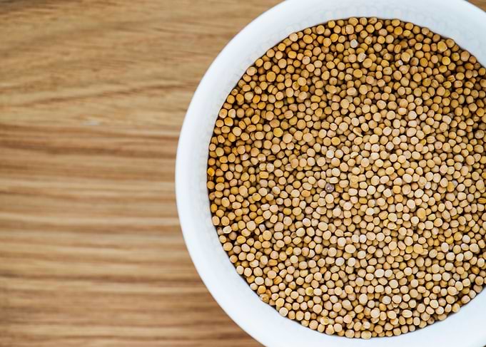 Coriander