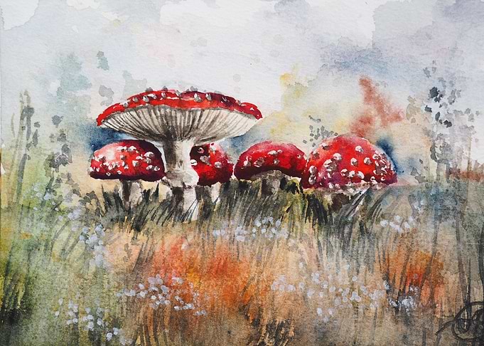 Toadstool mushrooms