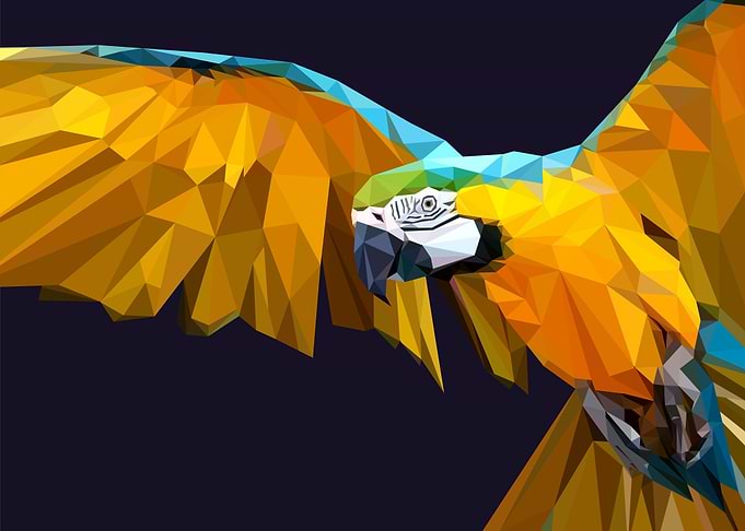 blue and yellow macaw