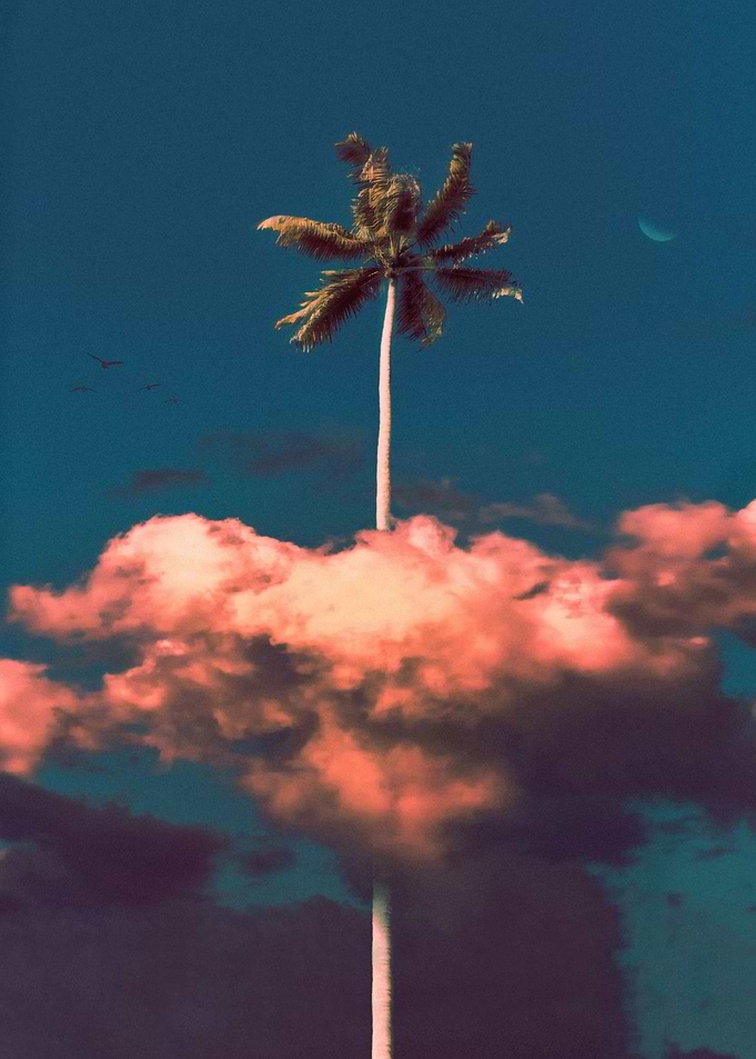 Outgrown