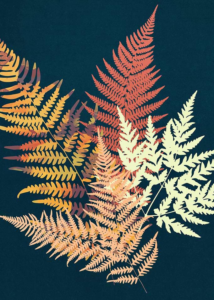 Autumn Fern