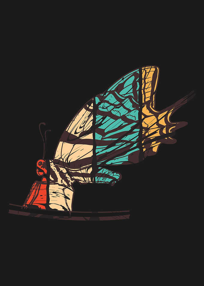 Butterfly Animal