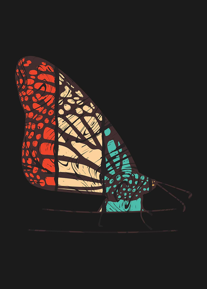 Butterfly Animal