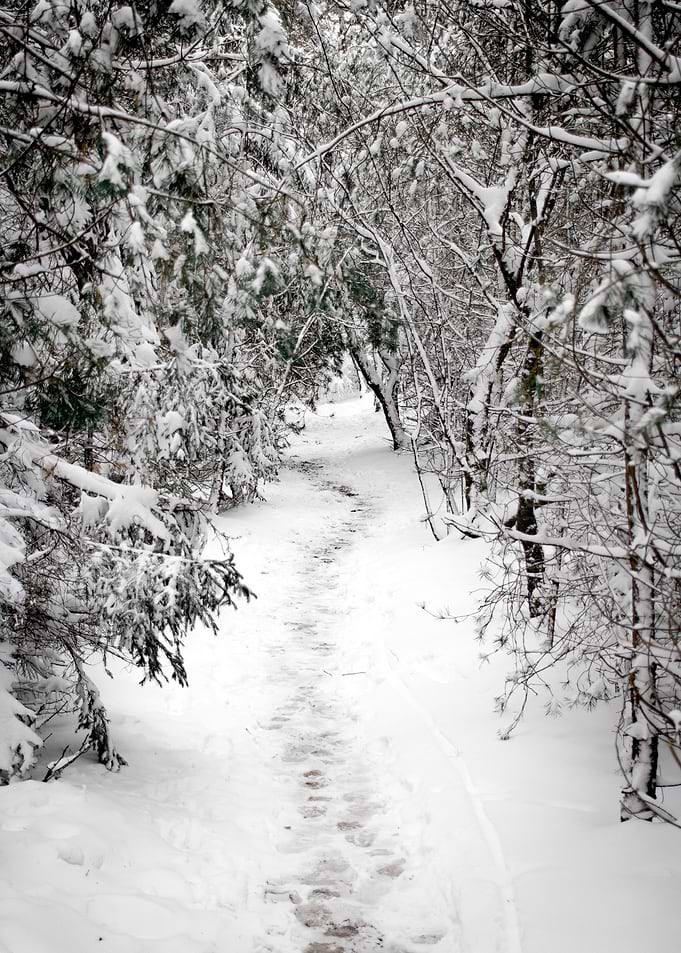 Gate to winter wonderland