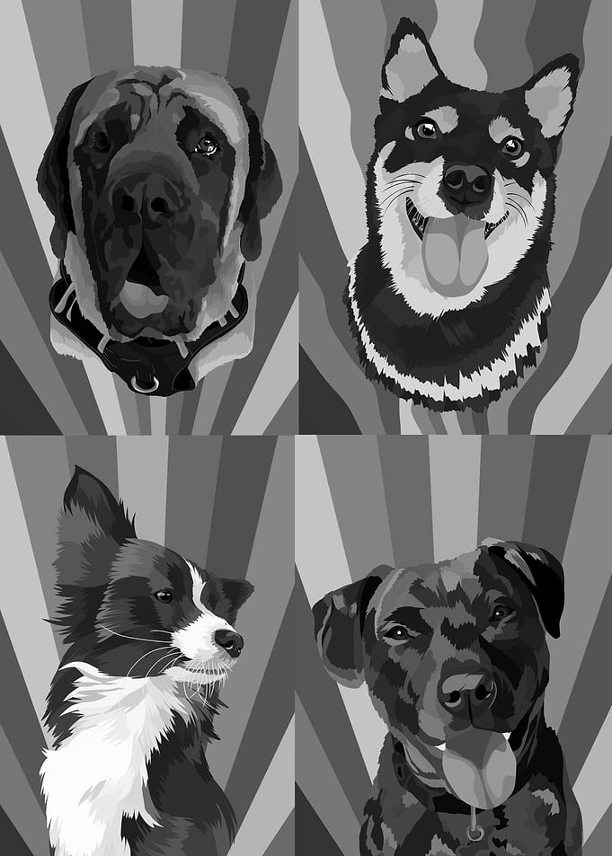pets dogs home