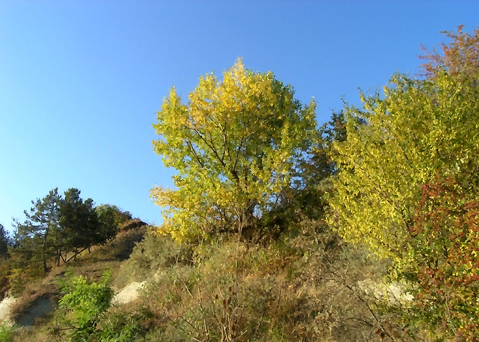 Autumn hike