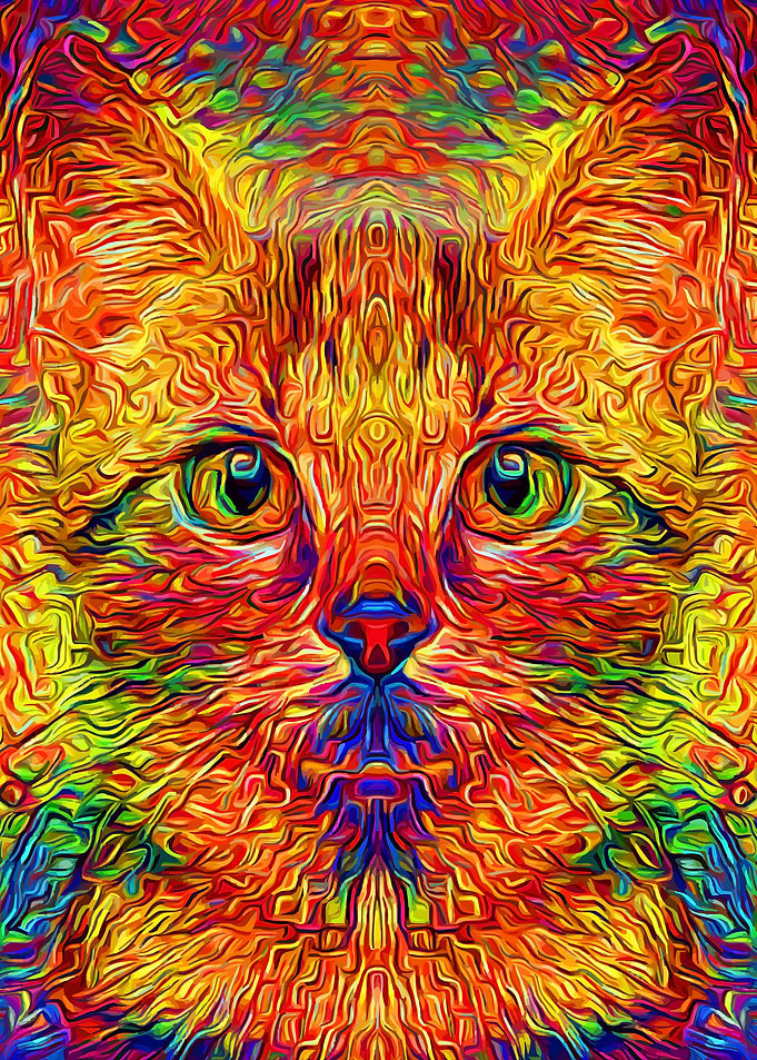 Kitten Colorful Mosaic