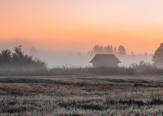 Foggy Sunrise