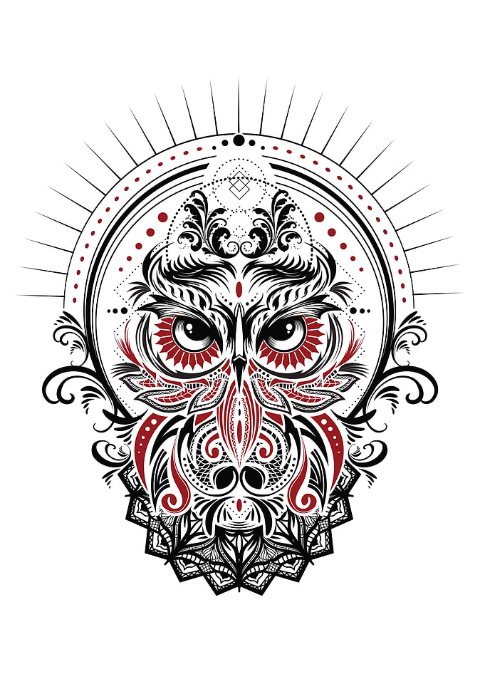 Crazy Owl