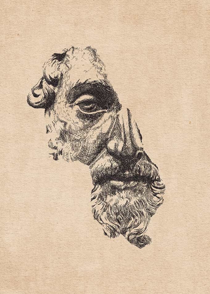 MARCUS AURELIUS Pencil