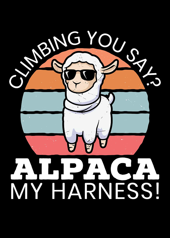 Alpaca My Harness