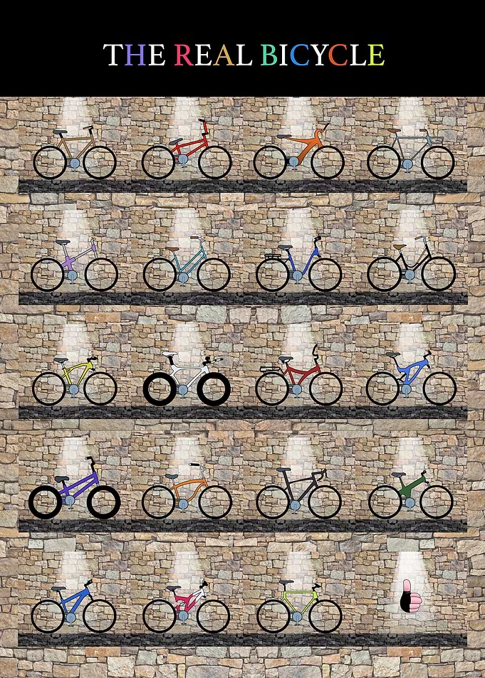 THE REAL BICYCLE