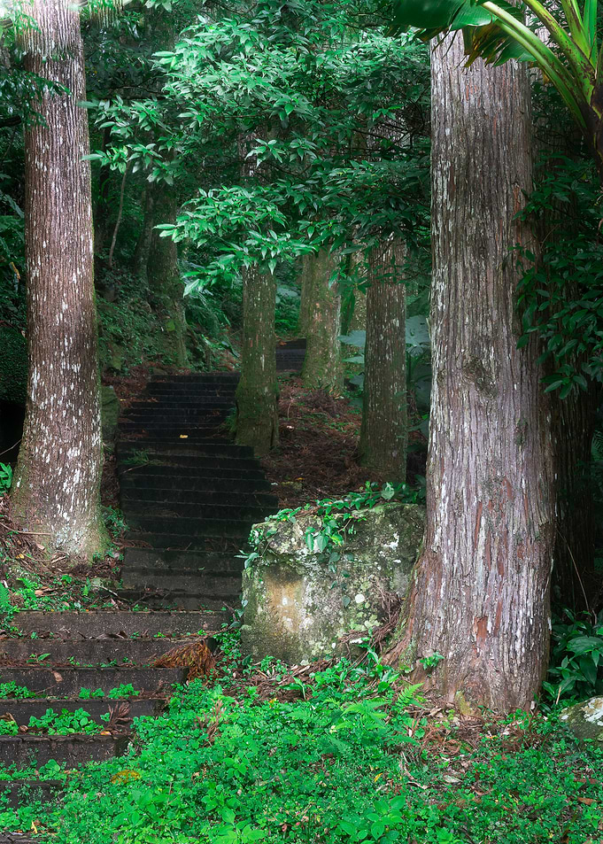 sshaped walkway stairs