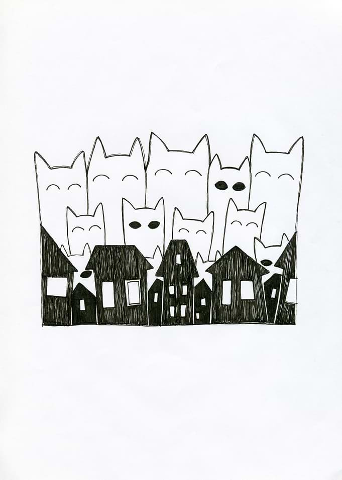 Cats in the city