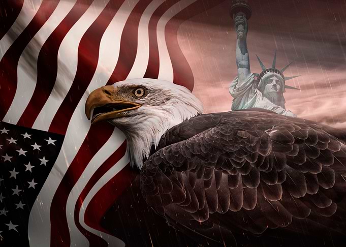 Bald Eagle