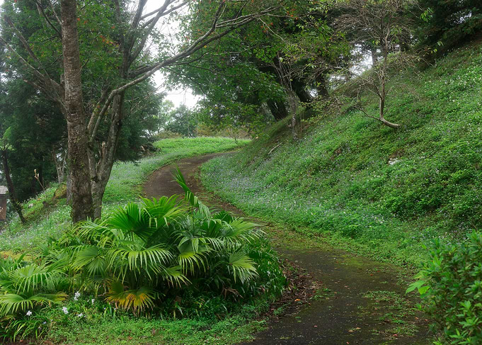sshaped walkway