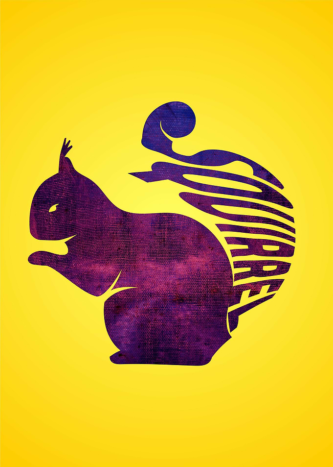 squirrel