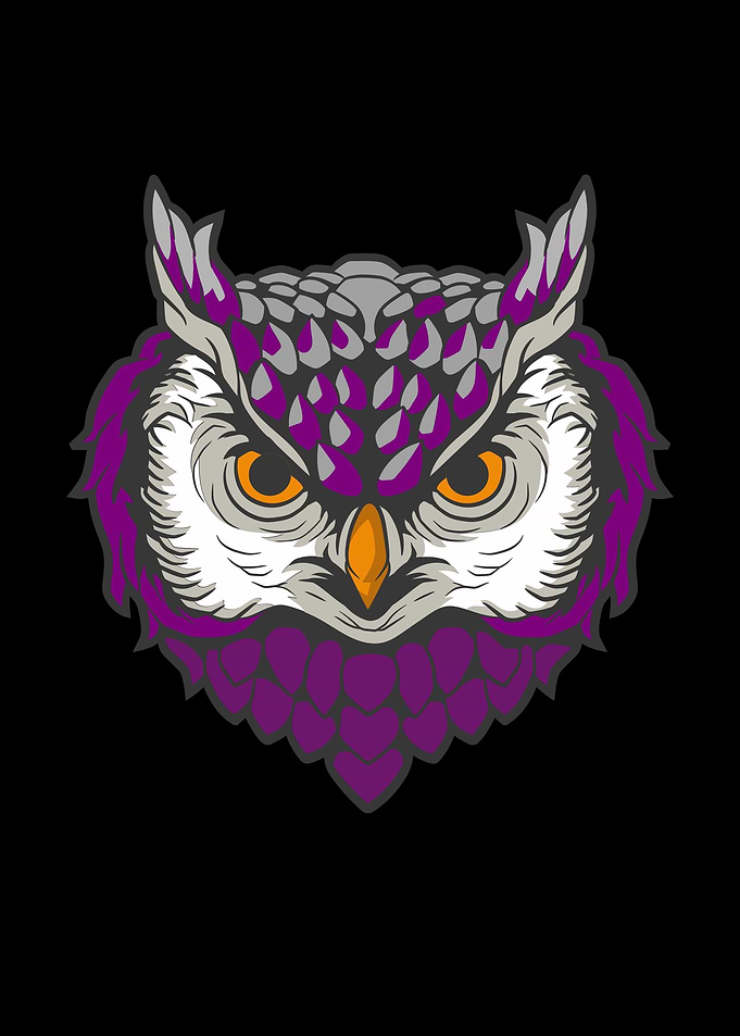 Asexual Pride Love Owl
