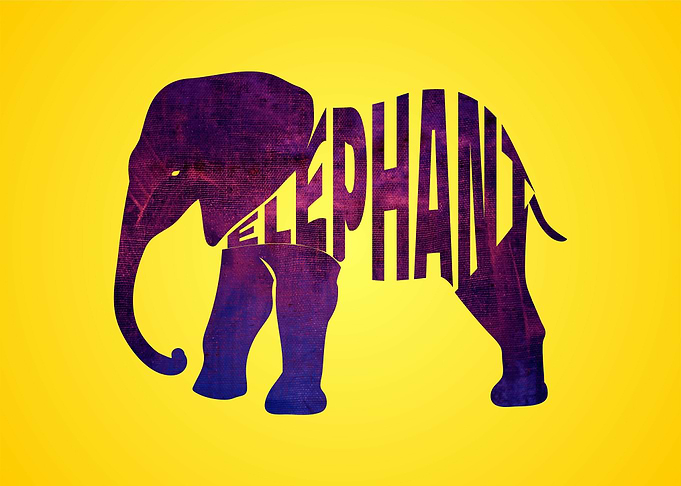 elephant