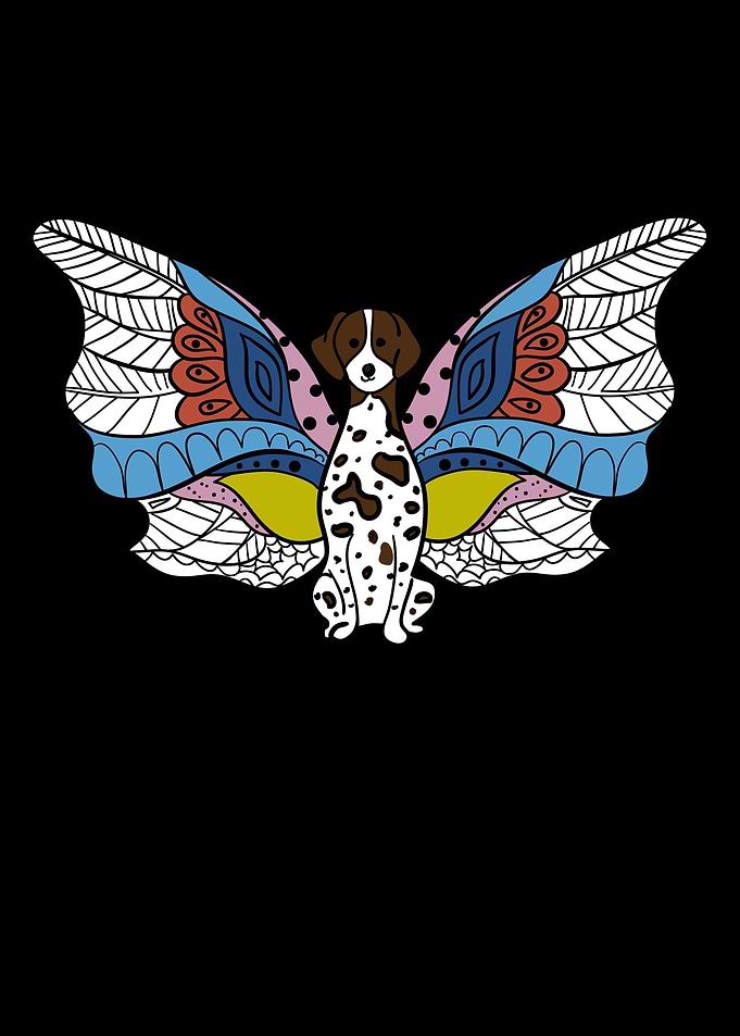 German Shorthaired Pointer